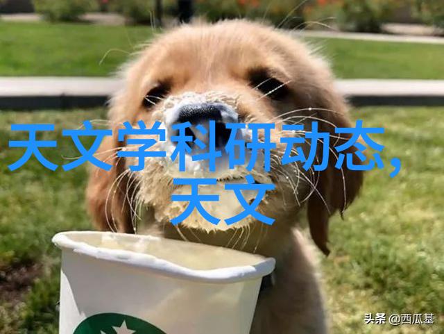 中国设备网构建现代化信息基础设施的战略探究