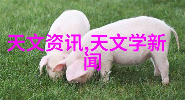在极端气候条件下彩钢板是否仍然是一个可靠选择