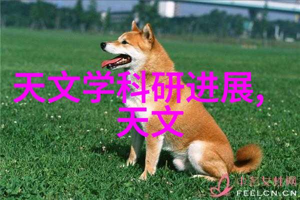哥布林洞窟123无删减资源-探秘哥布林洞窟123揭秘无删减资源的奥秘