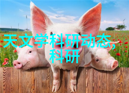 一体化饮用水净化设备真的能让我们摆脱污染之苦吗