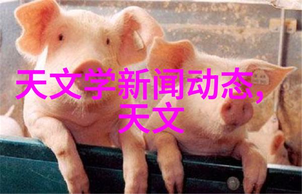 末世法师魔法世界的生存者