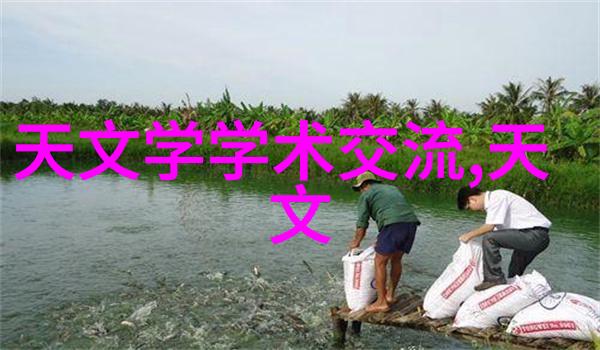 西域之巅的臣服强迫与自由之间的界限探索