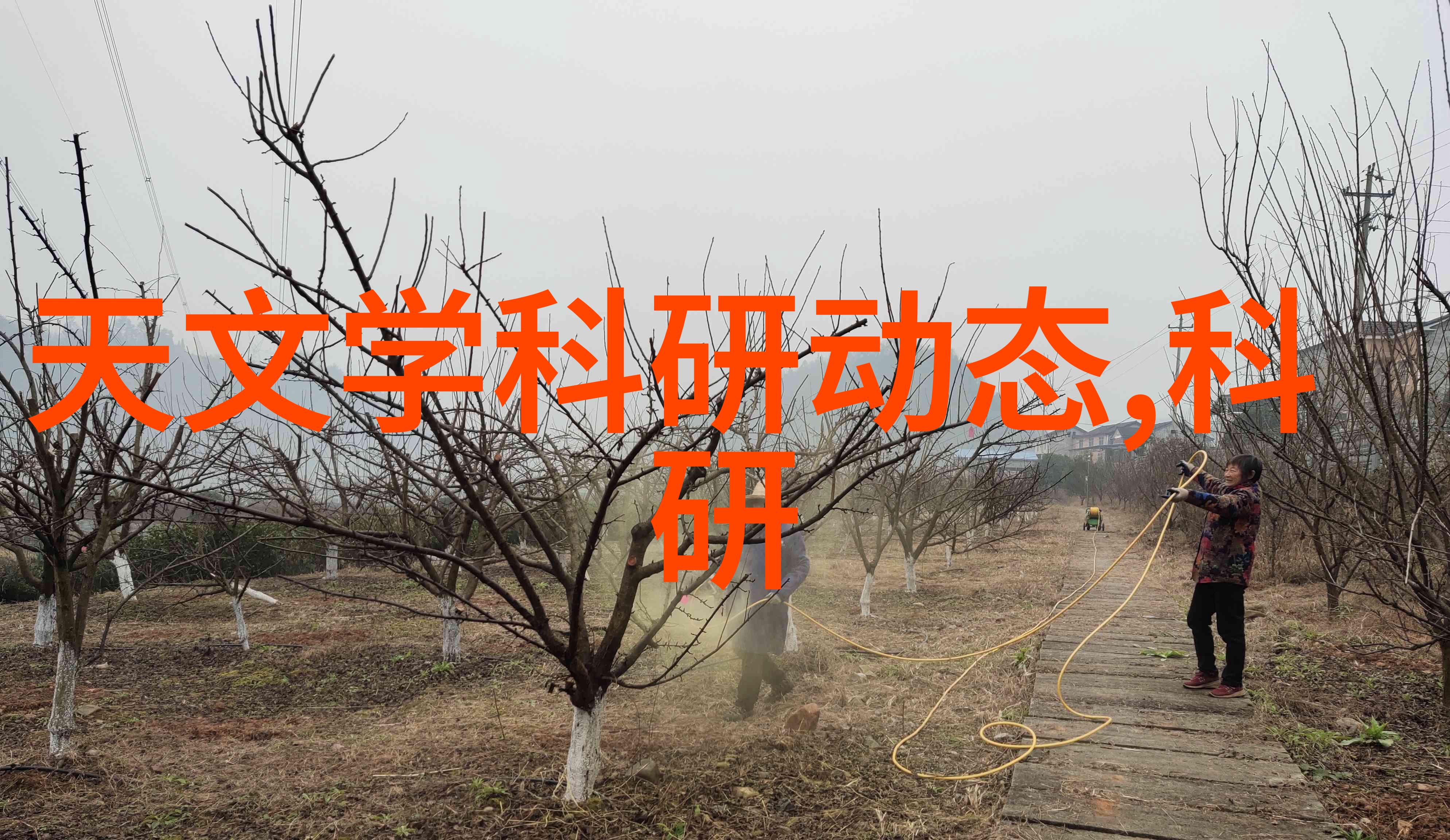 大型油烟净化设备的科学原理与应用实践