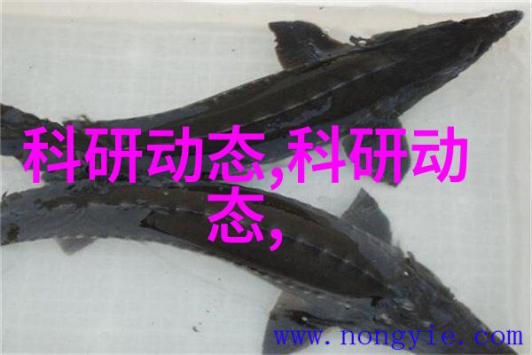 真空干燥箱如何在低氧环境中高效干燥物品