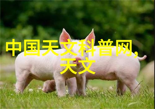 辐照灭菌设备它的工作原理又是什么