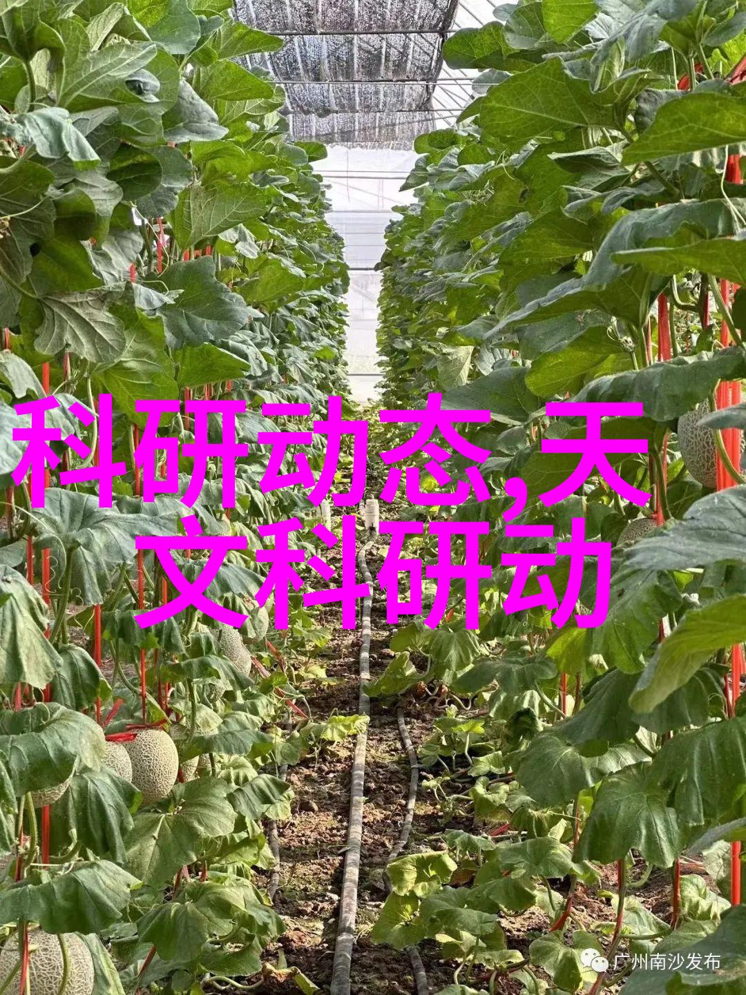 化工液体药品检测方法的探究及其在现代制药工业中的应用