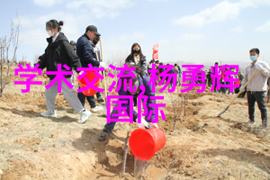 绚烂烟花下动漫世界无限扩张探索花火动漫无删减的文化魅力