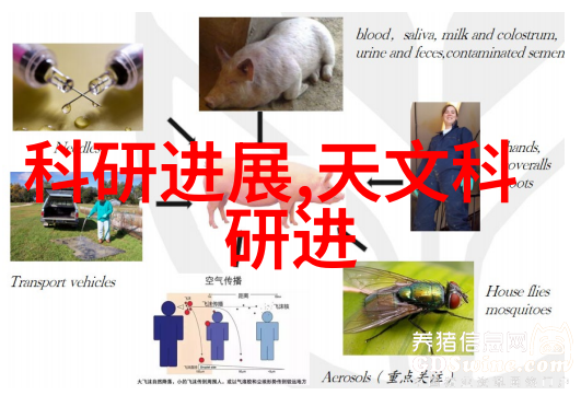 城市之脉公交车轮C多肉的故事