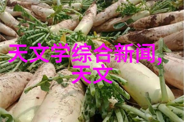 厨余垃圾处理机节能环保的厨房新宠