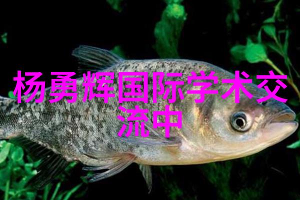 中南智能诈骗集团中南智能的骗子帝国