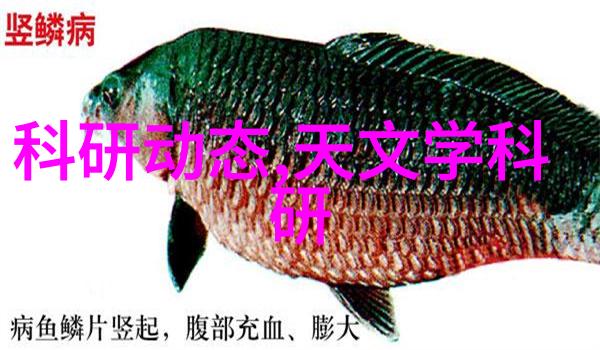 空压机油水分离器确保压缩空气质量的关键设备