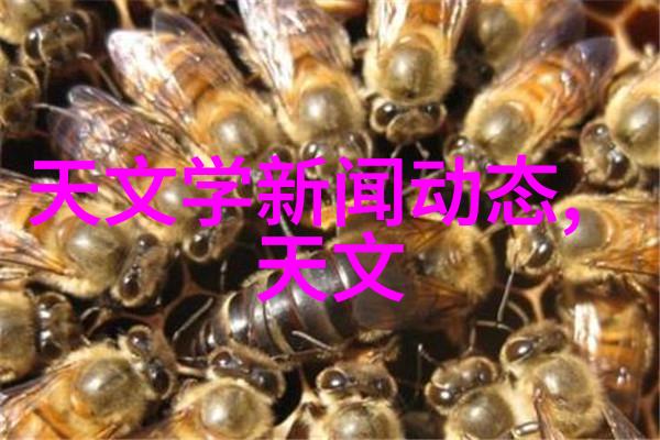 小户型居家艺术巧妙空间利用与时尚装饰技巧
