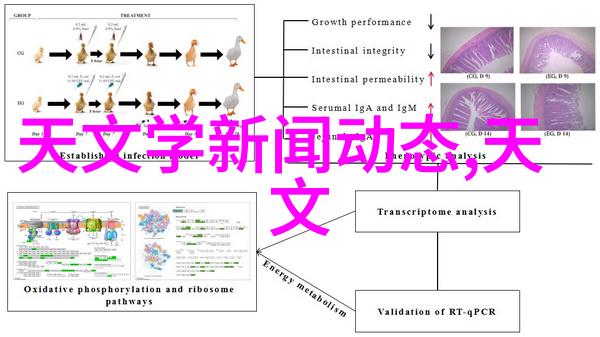 水质检测仪器-清澈源自精准揭秘水质检测仪器的重要性与应用