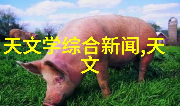 消杀公司业务全解析从室内外环境到特殊场所的全面消毒服务