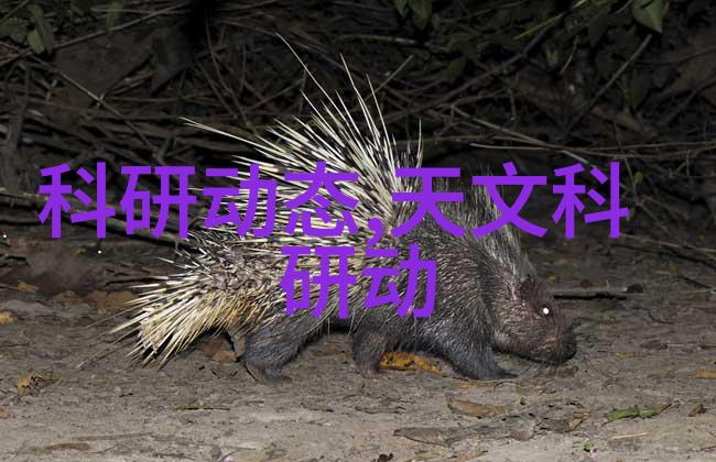 消毒液生产过程中的主要设备操作步骤