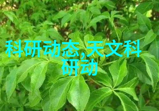 学术探究撰写高效申请报告的艺术与策略
