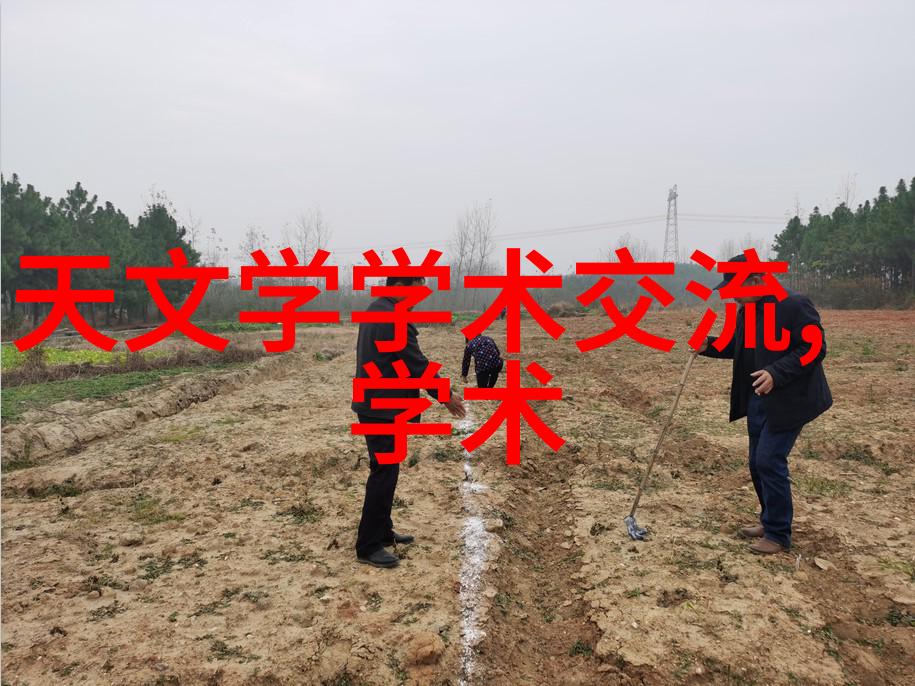 水质检测指南了解ppm值的重要性和标准