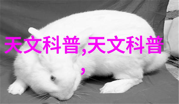 不锈钢丝网我的创意填料大师