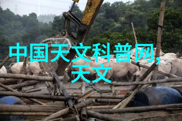 探究微观世界解读现代电子芯片内部结构图的学术视角