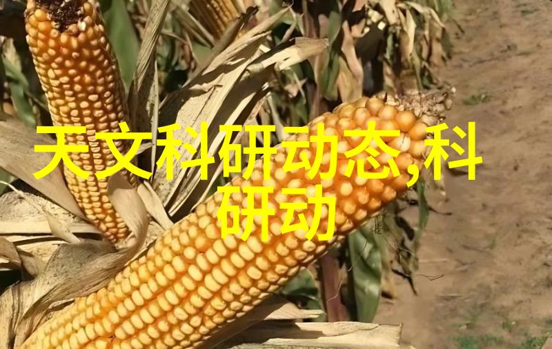 为何中国人的保本心态导致他们对股票的风险偏好较低