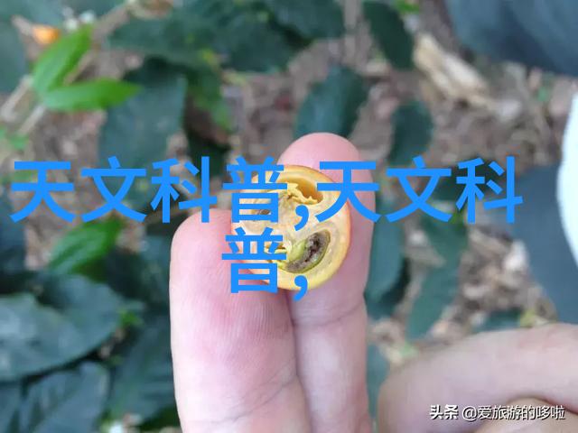 打女孩子光阴的作文我那些不堪回首的打闹日子