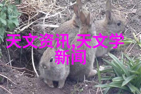 东方之光绚烂马来漆的艺术探索