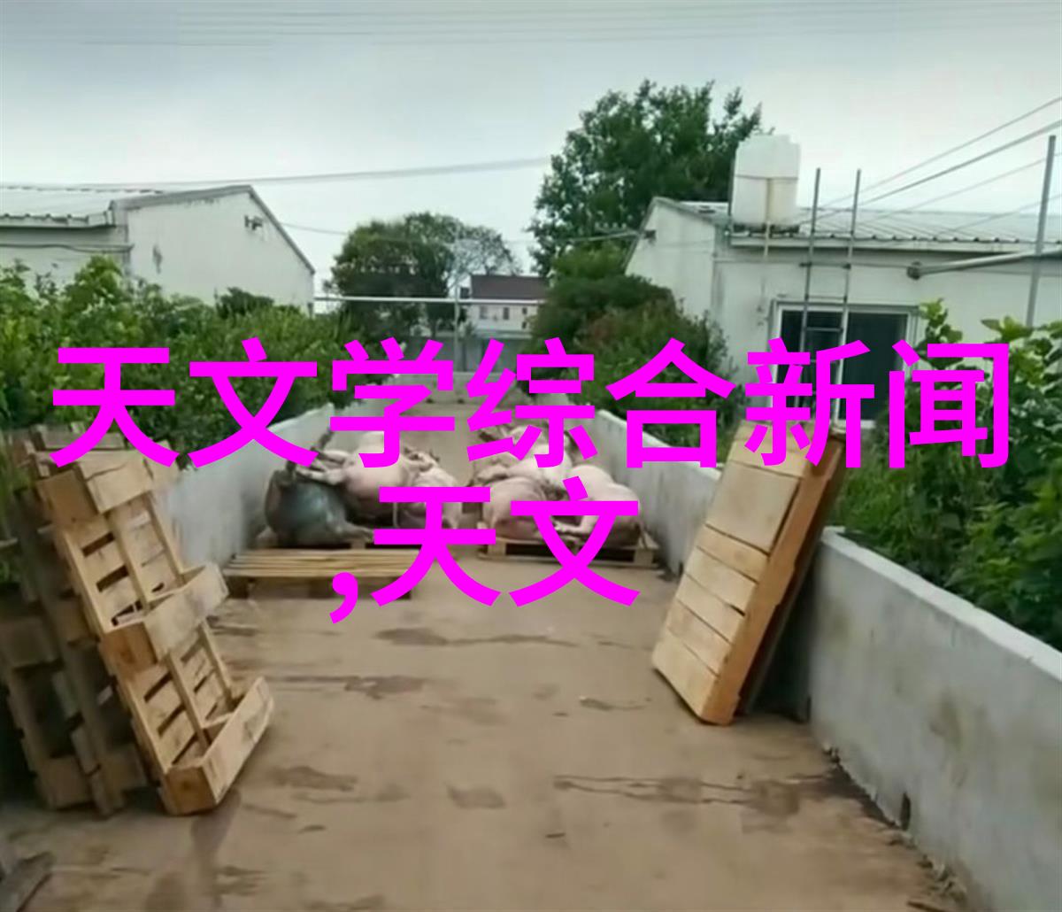 书房设计-静谧图书角如何打造理想的阅读空间