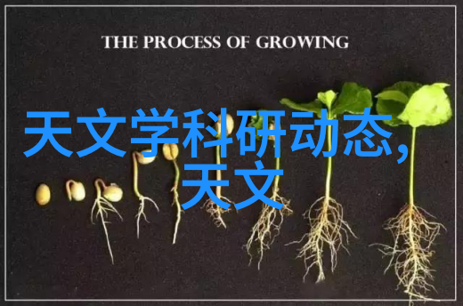 燃气蒸汽发生器的工作原理与应用广度