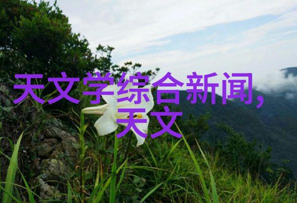 高效干燥探索微波真空技术的奇迹之旅
