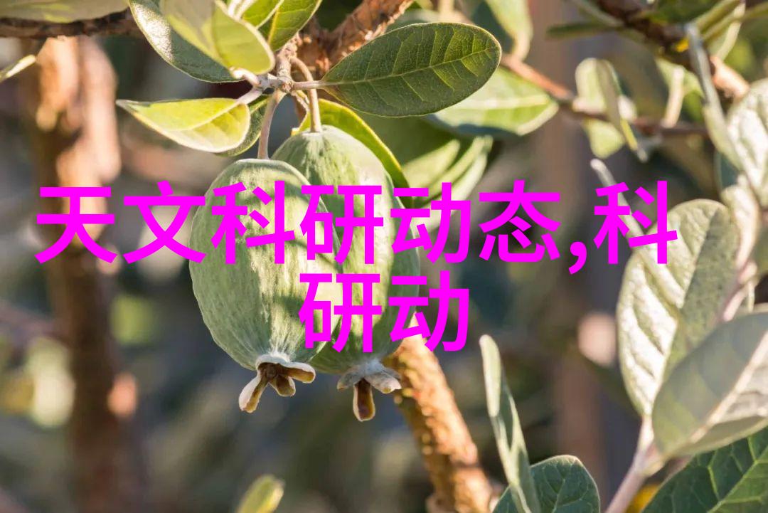 红外测距仪的工作原理及其应用
