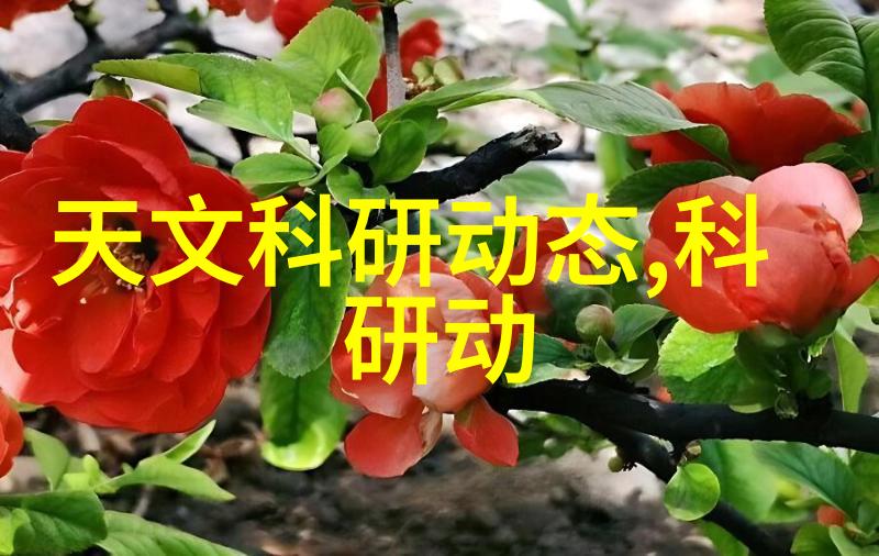 干燥之舞氯化钙设备的精妙运作