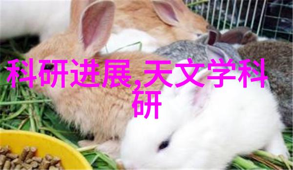 柳州铁道职业技术学院铁轨上的学术与实践共融