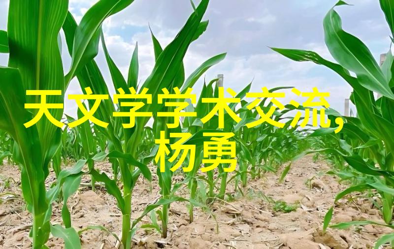家居装饰-客厅装修风格大全创造完美的生活空间