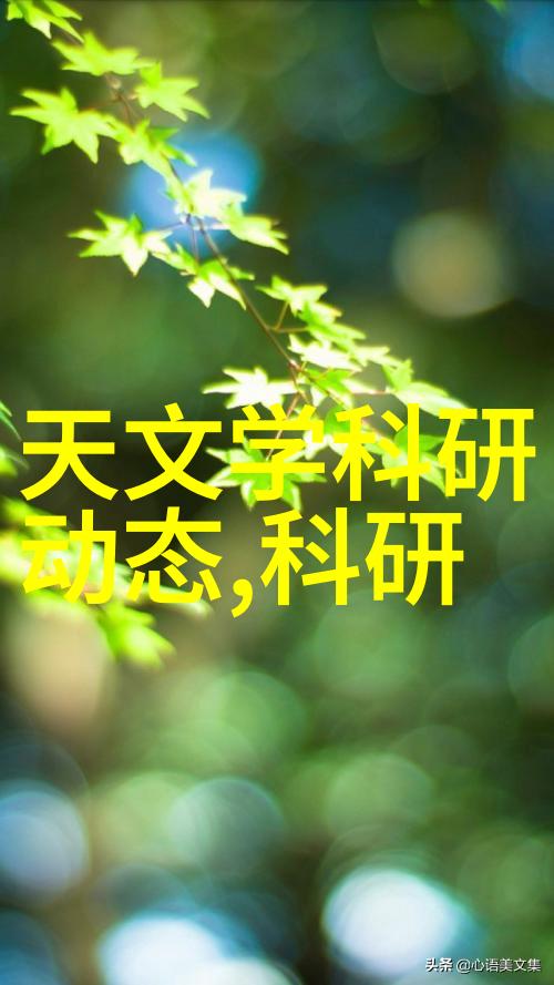 不锈钢波纹填料用途 - 不锈钢波纹填料的多重应用从工业制造到家居装饰