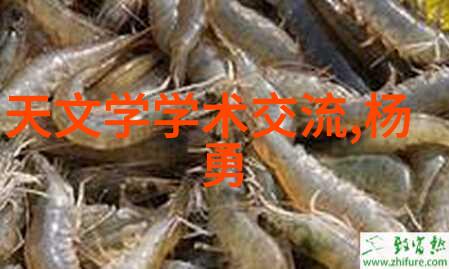 房子装修与设计-精致居所从空间布局到家具搭配的完美艺术