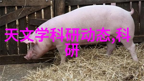 家居美学温馨小窝室内装修灵感大集