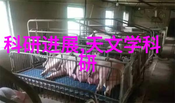 专利申请流程详解个人如何高效获取专利权
