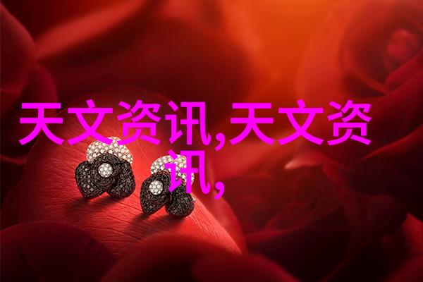 煤泥之谜干燥设备背后的秘密
