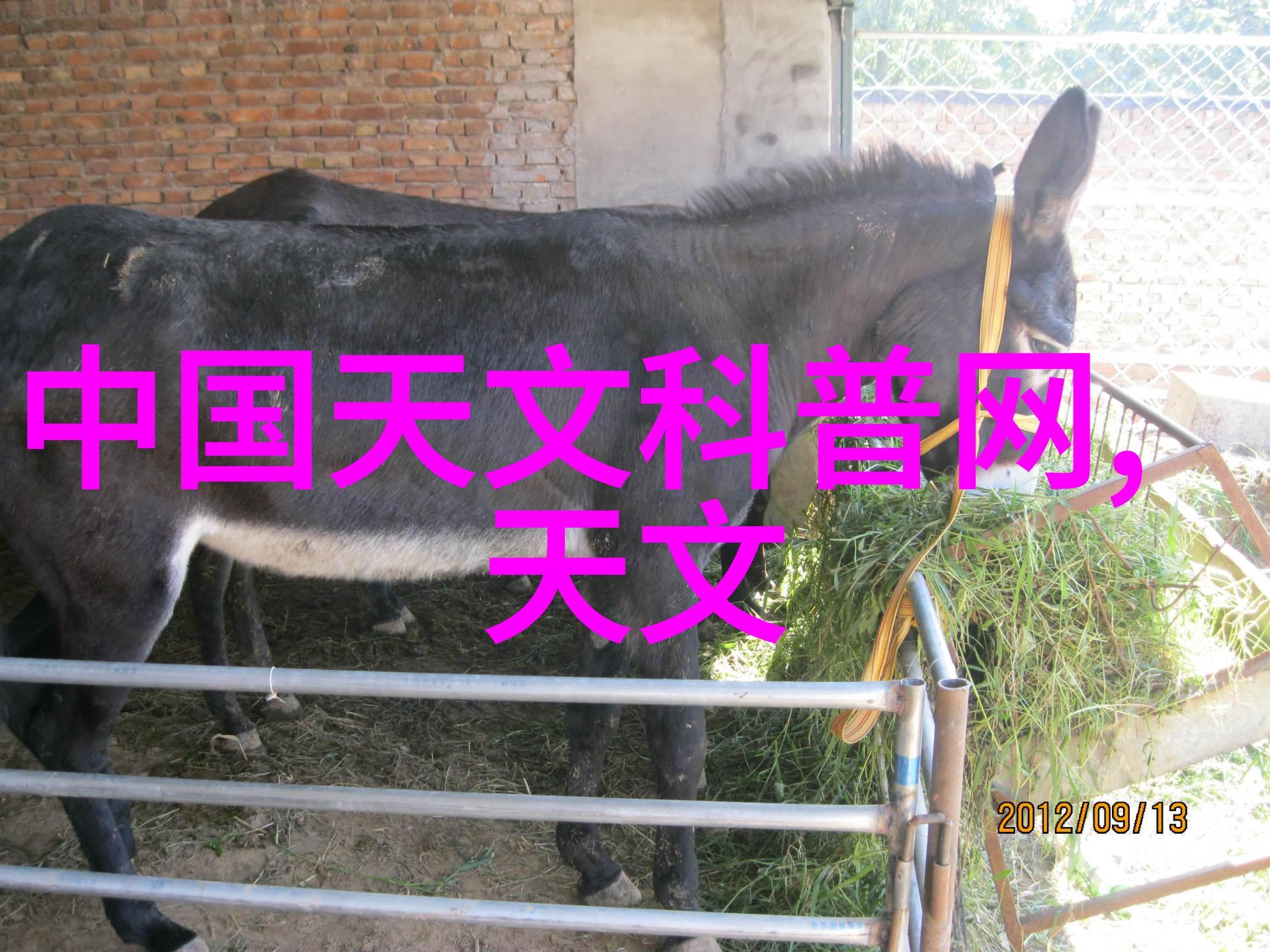 自制不锈钢工艺品图片手工制作的精致不锈钢装饰品展示