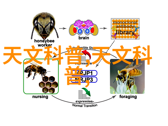 暴龙神之怒古老传说中的火焰喷吐者