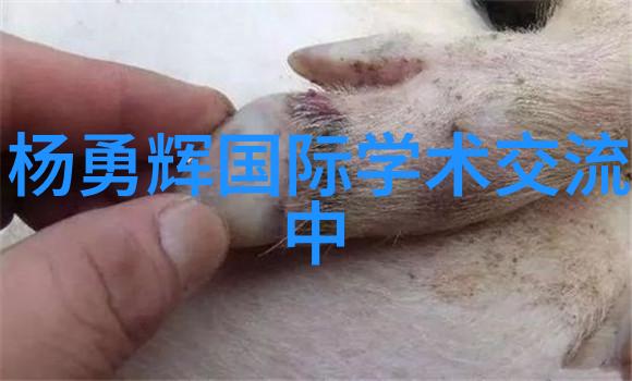 从纺织到服装制作一件带有辫式填料的手工连衣裙