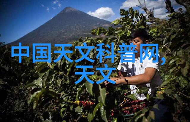 叛逆者全集免费观看揭秘青春与自由的无限可能