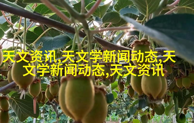 艺术墙