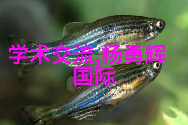 免费装修设计是否真的能省下不少金钱