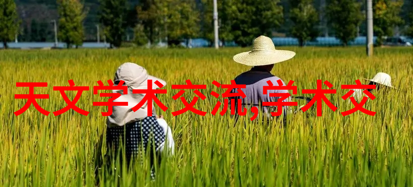 管材知识-PERT是什么管材探索高性能复合材料的世界