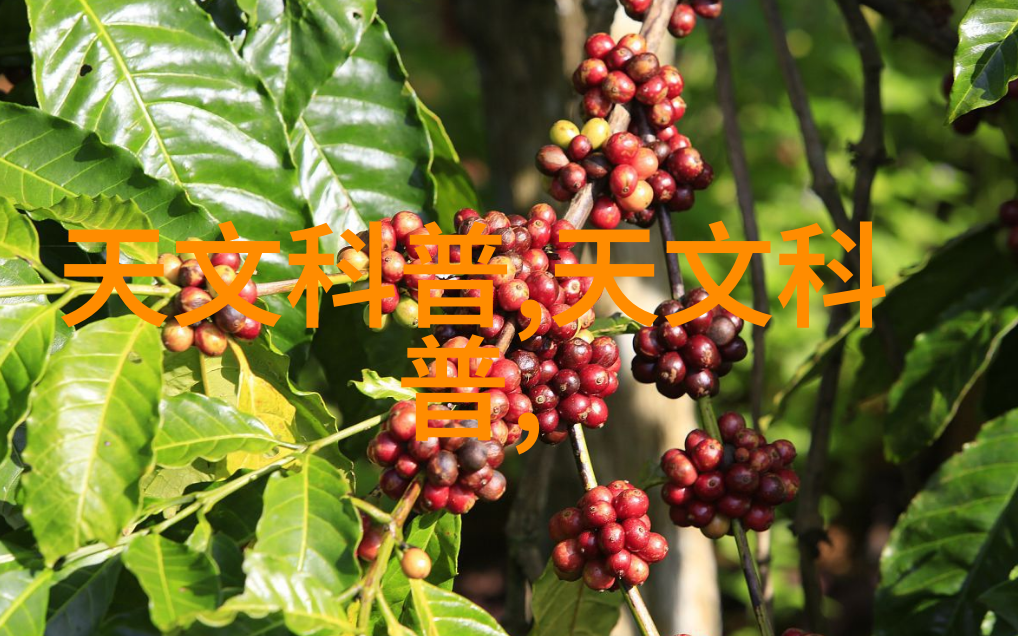 二手机械设备回收环保节能的智能选择