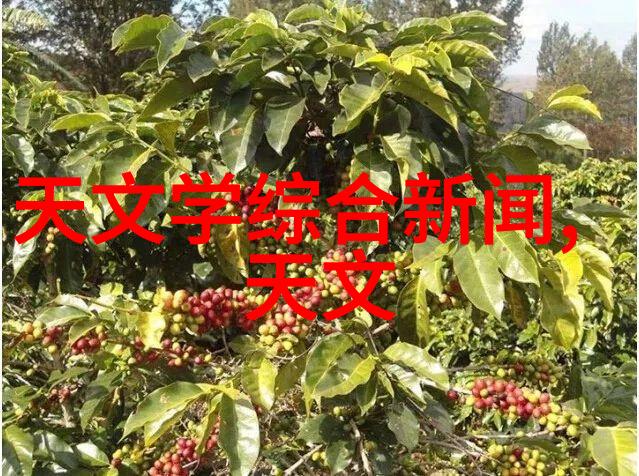 暗卫卫生间装修效果图展示温馨舒适的家居生活空间