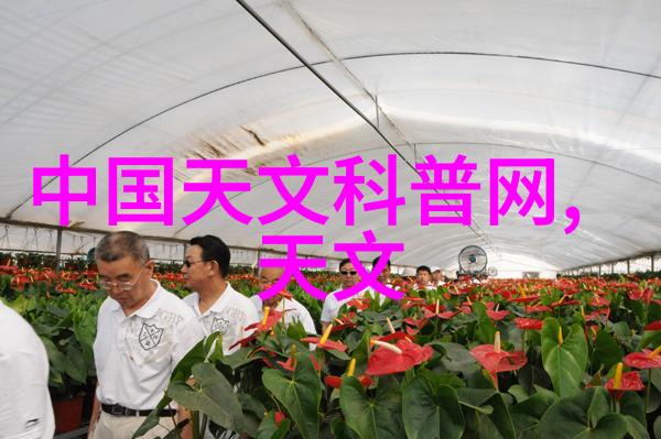 什么是混搭装饰如何正确运用它来提升居住空间感