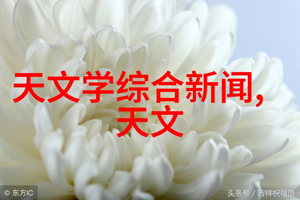 高效筛选机精准分拣新纪元的引领者