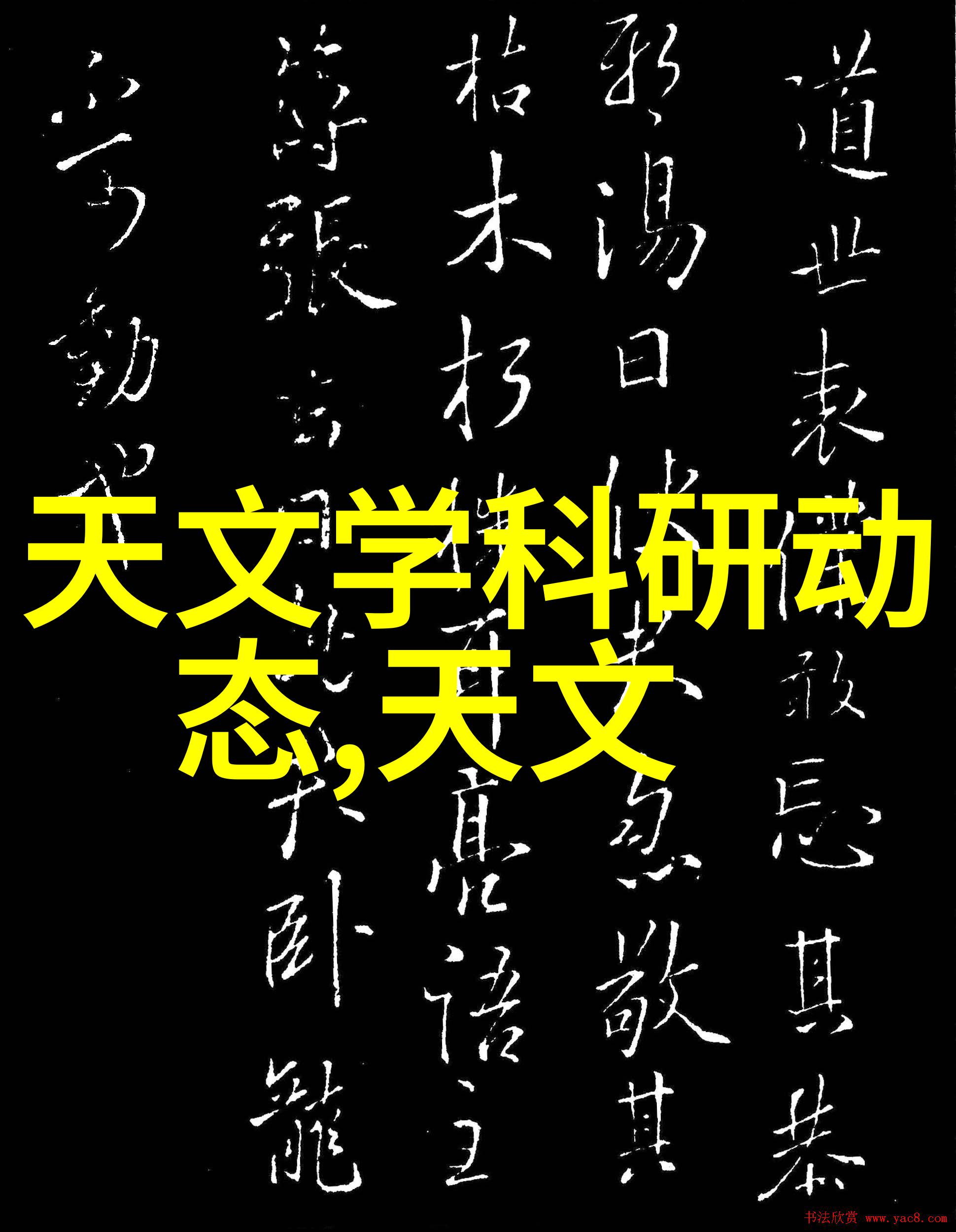 山东财经大学东方学院学术与实践的交汇点